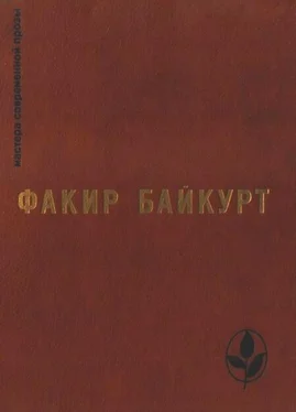 Факир Байкурт Избранное обложка книги