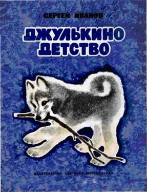 Сергей Иванов Джулькино детство обложка книги