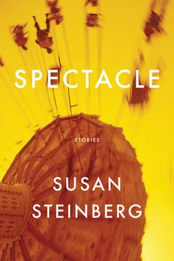 Susan Steinberg Spectacle: Stories обложка книги