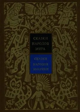 Александр Ващенко Сказки народов Америки обложка книги