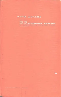 Инго Шульце 33 мгновенья счастья. Записки немцев о приключениях в Питере обложка книги