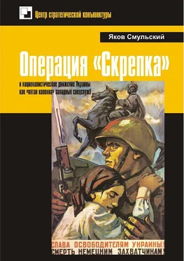 Яков Смульский Операция «Скрепка» и националистическое движение Украины как «пятая колонна» западных спецслужб обложка книги