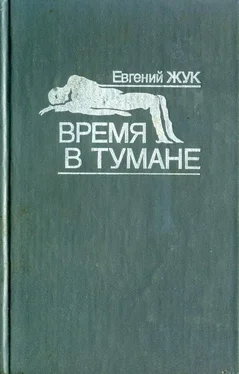 Евгений Жук Время в тумане обложка книги