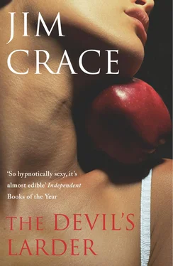 Jim Crace The Devil's Larder обложка книги