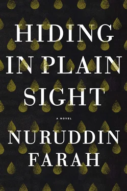 Nuruddin Farah Hiding in Plain Sight обложка книги