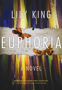 Lily King Euphoria обложка книги