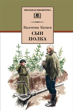 Валентин Катаев Сын полка обложка книги