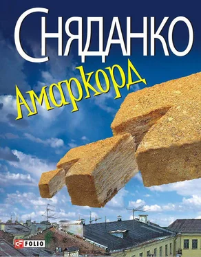 Наталка Сняданко Амаркорд (Збірка) обложка книги