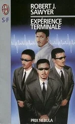 Robert Sawyer - Expérience terminale