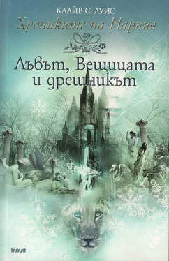 Неизвестный Автор Лъвът, Вещицата и дрешникът обложка книги