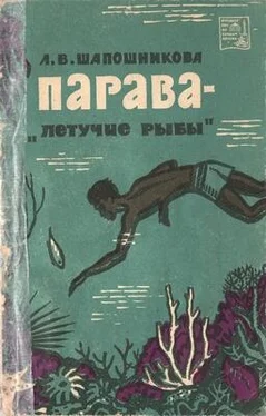 Людмила Шапошникова Парава — «летучие рыбы» обложка книги