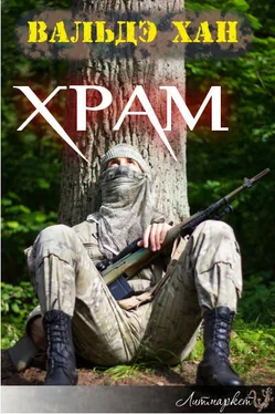 Вальдэ Хан Храм обложка книги