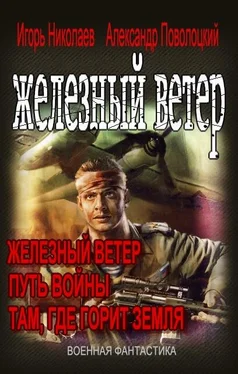 Игорь Николаев Вся трилогия Железный ветер одним томом обложка книги