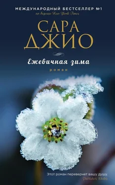 Сара Джио Ежевичная зима обложка книги