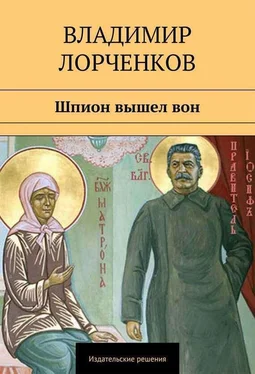 Владимир Лорченков Шпион вышел вон обложка книги