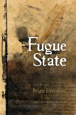 Brian Evenson Fugue State: stories обложка книги