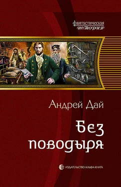 Андрей Дай Без Поводыря обложка книги