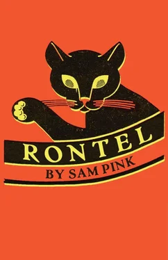 Sam Pink Rontel обложка книги