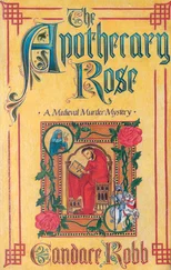 Candace Robb - The Apothecary Rose