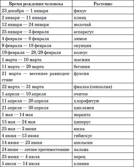 Обязательно следует отметить что особой Силой обладают Цветы Хранители - фото 3