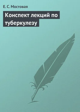 Елена Мостовая Конспект лекций по туберкулезу обложка книги