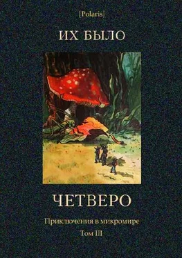 П. Гордашевский Их было четверо. Приключения в микромире. Том III обложка книги