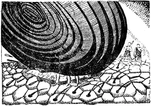 Будто небо обрушилось на голову животного Спать Спать простонал - фото 22