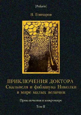 В. Гончаров Приключения доктора Скальпеля и фабзавука Николки в мире малых величин: Микробиологическая шутка. Приключения в микромире. Том II обложка книги