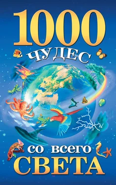 Елена Гурнакова 1000 чудес со всего света обложка книги