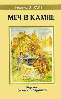 Теренс Уайт Меч в камне обложка книги