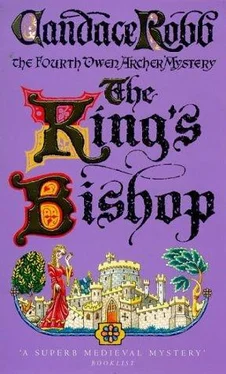 Candace Robb King's Bishop обложка книги