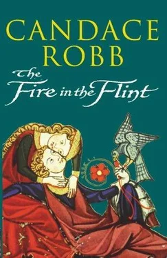 Candace Robb The Fire In The Flint обложка книги