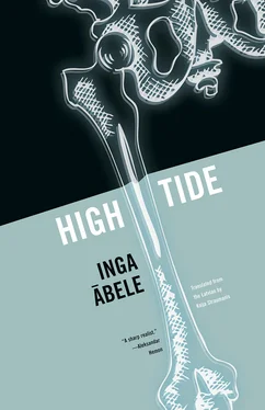 Inga Abele High Tide обложка книги
