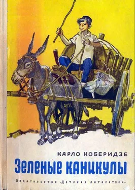 Карло Коберидзе Зеленые каникулы обложка книги