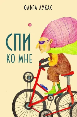 Ольга Лукас Спи ко мне обложка книги