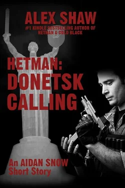 Alex Shaw Hetman: Donetsk Calling обложка книги