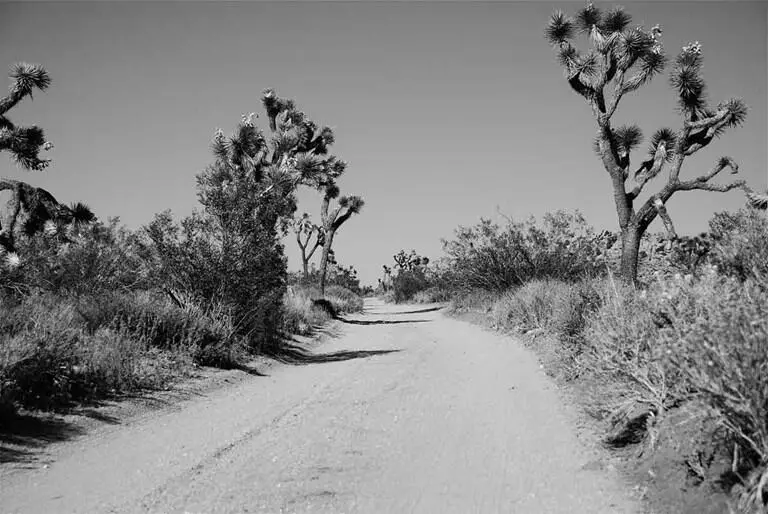 This is a picture of the road that I find myself walking along now You will - фото 8