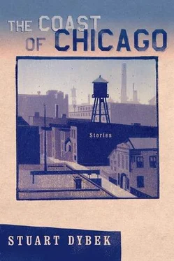 Stuart Dybek The Coast of Chicago: Stories обложка книги