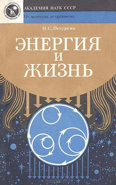 Николай Печуркин Энергия и жизнь обложка книги