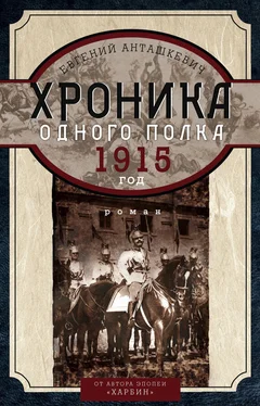 Евгений Анташкевич Хроника одного полка. 1915 год обложка книги