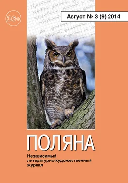 Коллектив авторов Поляна №3 (9), август 2014 обложка книги