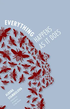 Albena Stambolova Everything Happens as It Does обложка книги