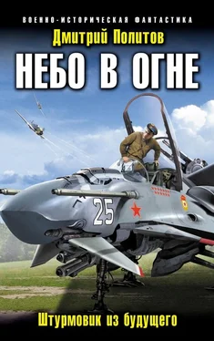 Дмитрий Политов Небо в огне. Штурмовик из будущего обложка книги