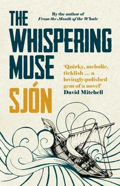Sjon The Whispering Muse обложка книги