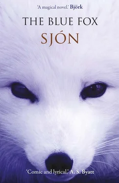 Sjon The Blue Fox обложка книги