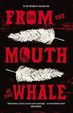 Sjon From the Mouth of the Whale обложка книги