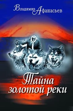 Владимир Афанасьев Тайна золотой реки (сборник) обложка книги