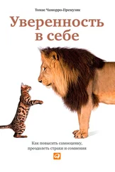 Томас Чаморро-Премузик - Уверенность в себе. Как повысить самооценку, преодолеть страхи и сомнения