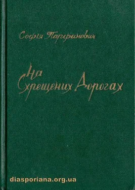 Софія Парфанович На схрещених дорогах обложка книги