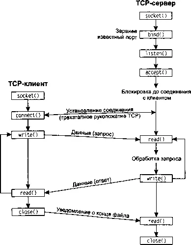 Рис 41 Функции сокетов для элементарного клиентсерверного соединения TCP - фото 30